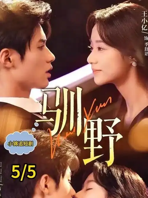 年代剧《长夜将明》高清海报